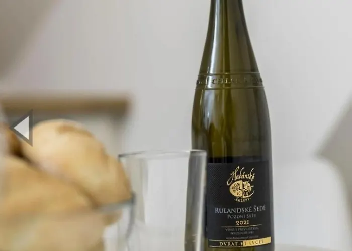 In The Centar Esperia 오파티아